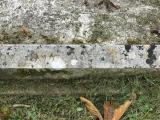 image of grave number 970232